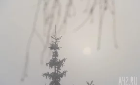 В Кузбассе 7 января ожидается шквалистый ветер, сильный снег и метели