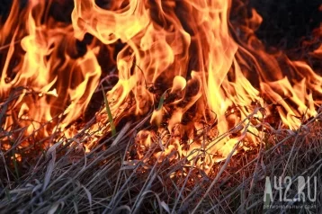 Фото: В Кузбассе загорелась трава на площади 700 квадратных метров 1