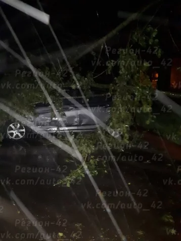 Фото: Кемеровчане делятся в соцсетях снимками последствий ночного урагана 6