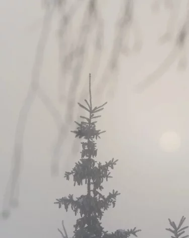 В Кузбассе 7 января ожидается шквалистый ветер, сильный снег и метели