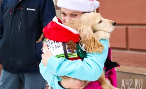 Загадали и побежали: как в Кемерове прошёл «Забег обещаний-2026»