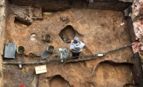 В Подмосковье археологи обнаружили череп мамонта с древним кладом