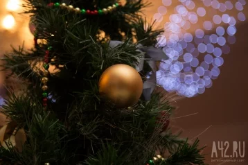 Фото: «Корни пустила»: в Кемеровском округе обнаружили новогоднюю ель-рекордсменку 1