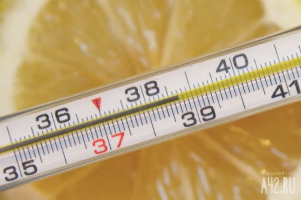 В Кузбассе за неделю заболеваемость ОРВИ выросла почти на 11%