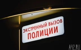 В кемеровском продуктовом магазине произошла попытка ограбления
