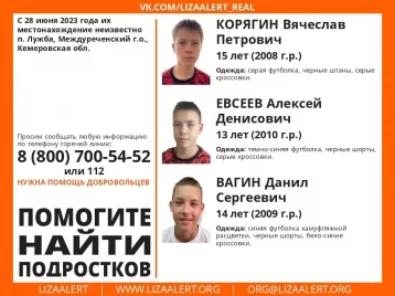 Фото: Волонтёры подключились к поискам троих подростков, потерявшихся в тайге в Кузбассе  1