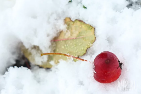 Вильфанд: очень тёплая погода ждёт почти все регионы России на следующей неделе