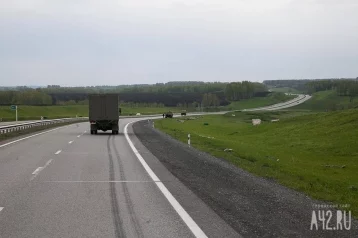 Фото: Соцсети: водитель снесла столб ЛЭП и сбила лося на трассе в Кузбассе 1