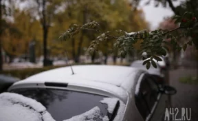 В Кузбассе на неделе похолодает до -5 и пойдёт мокрый снег
