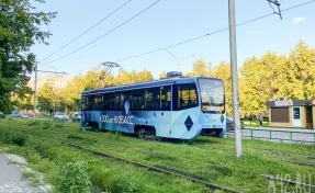 В Новокузнецке полиция ищет неизвестных, которые вырубили 300 метров контактного провода и остановили трамваи