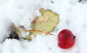 Вильфанд: очень тёплая погода ждёт почти все регионы России на следующей неделе