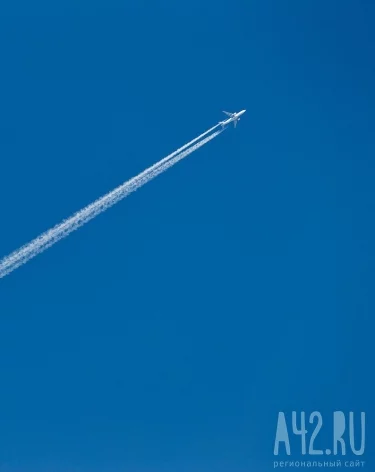 Фото: A42.RU