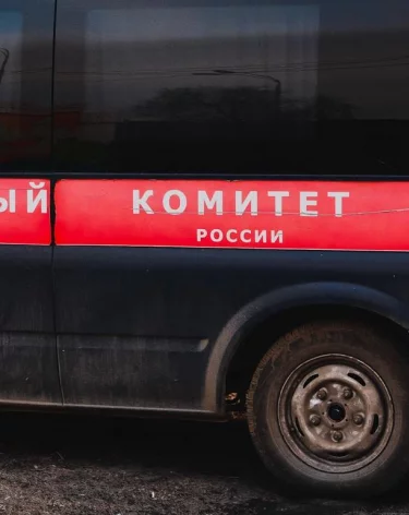 В Ульяновске в квартире обнаружены тела 27-летней женщины и её дочерей