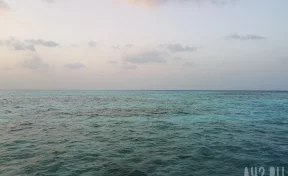 Волонтёры и спасатели ищут пару, пропавшую на сапе в море во Владивостоке