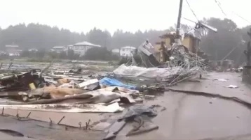 Фото: В Японии тайфун «Хагибис» оставил без света около 100 тысяч домов  1