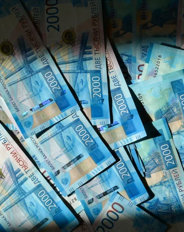 В Новосибирске школьница перевела мошенникам 1,2 млн рублей, порвала паспорт и смыла симку в унитаз