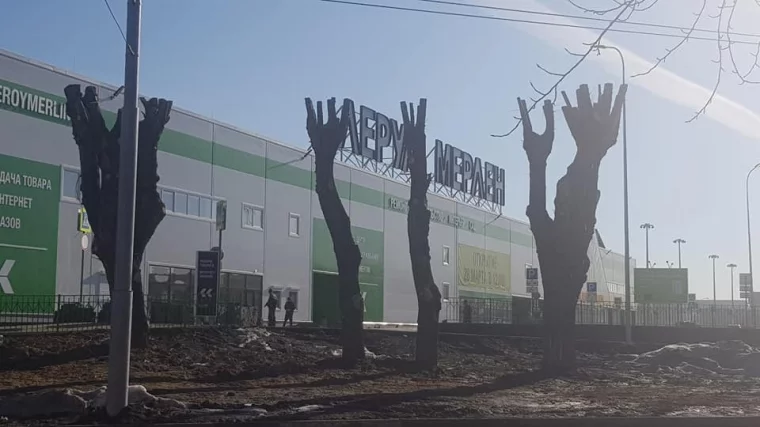Фото: Кемеровчане возмущены опиловкой деревьев возле магазина 1