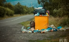 Глава кузбасского округа предупредил об ответственности за горящие мусорные контейнеры