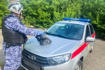 Фото: В Кузбассе задержали дебошира с пакетом похищенной одежды 1
