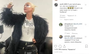 Кузбассовцы устроили перекличку в Instagram Леди Гаги