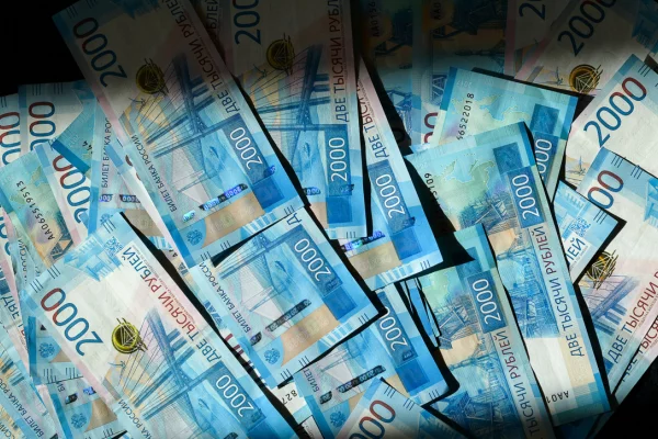 В Новосибирске школьница перевела мошенникам 1,2 млн рублей, порвала паспорт и смыла симку в унитаз