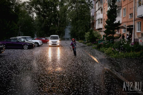 Град и жара до +34: синоптики дали прогноз погоды на неделю в Кузбассе