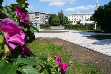 Фото: В Кемерове в сквере у ДК Кировского района уложили тротуарную плитку 2