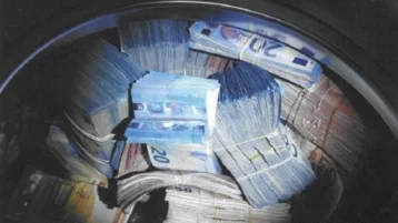 Фото: Полиция задержала голландца, хранившего 350 000 евро в стиральной машине 1