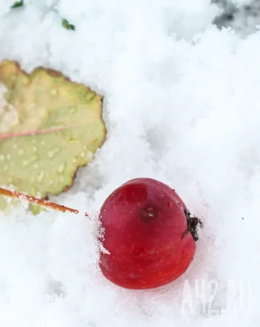 Вильфанд: очень тёплая погода ждёт почти все регионы России на следующей неделе