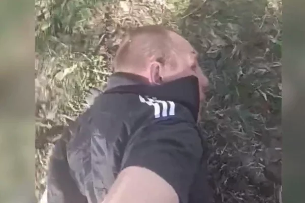 В Киселёвске сотрудник полиции выстрелил в собаку, её пьяного хозяина арестовали