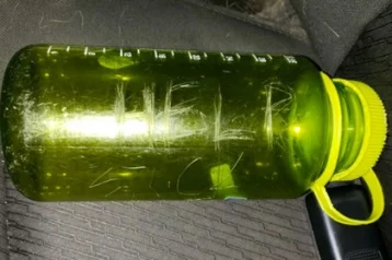 Фото: Туристам удалось спасти семью благодаря посланию в бутылке 1