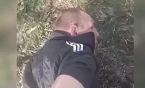 В Киселёвске сотрудник полиции выстрелил в собаку, её пьяного хозяина арестовали