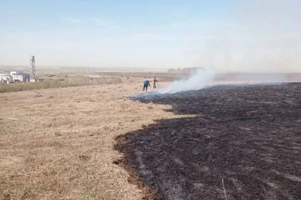 «Россети Сибирь» усилили контроль за энергообъектами во время пожароопасного сезона в Кузбассе