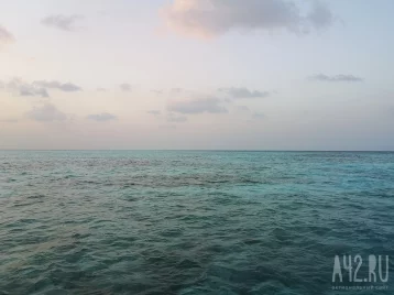 Фото: Волонтёры и спасатели ищут пару, пропавшую на сапе в море во Владивостоке 1