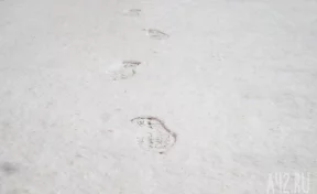 В Гидрометцентре рассказали, в каких регионах выпал снег