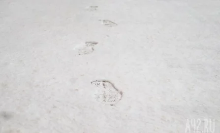 В Гидрометцентре рассказали, в каких регионах выпал снег