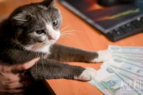 Кузбасс занял 32 место в рейтинге регионов России по уровню зарплат