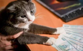 Кузбасс занял 32 место в рейтинге регионов России по уровню зарплат