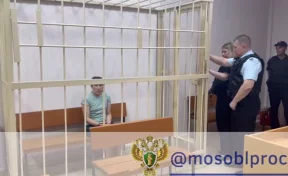 Жительницу Подмосковья обвинили в убийстве 5-летней дочери
