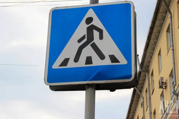 В Нижегородской области обустроили «зебру» для ежей