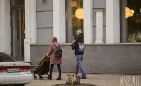 В Кузбассе молодым семьям будут выдавать детские коляски и кроватки напрокат