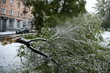 Фото: В Кузбассе объявили штормовое предупреждение: ветер усилится до 27 метров в секунду 1