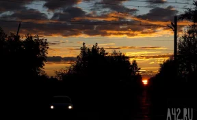 За ночь над российскими регионами уничтожено 33 БПЛА, из них 8 — в Брянской области