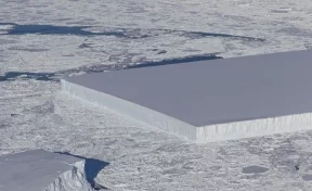NASA опубликовало снимок идеально прямоугольного айсберга