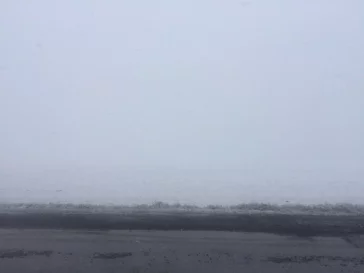 Фото: Кузбассовцы делятся в соцсетях фотографиями ливневого снега 2