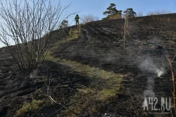 Фото: В Сосновом бору в Кемерове загорелась трава 1