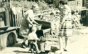 1971 год. Фото: из архива семьи Ткаченко