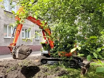 Фото: В Кемерове на улице Мичурина теплотрассу раскопали мини-экскаватором, чтобы не повредить яблони 1