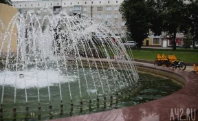 Август по-кемеровски: зелёные парки и аллеи для летнего отдыха