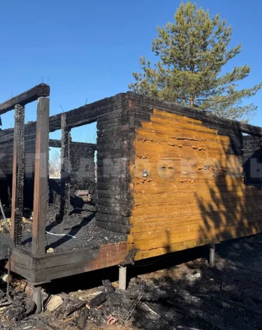 Фото: <a href=https://t.me/gsuskmosobl>СУ СКР по Московской области</a>/ Telegram